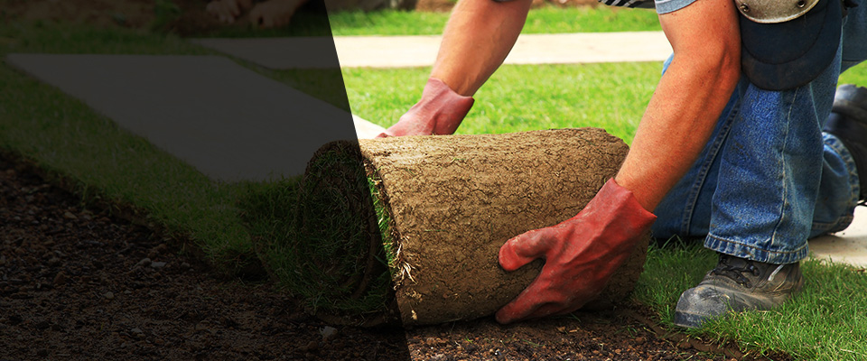 Pine Bluff Landscapers